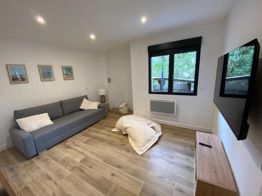 Villa 12 Pers Avec Piscine Chauffee 1 Mai Au 30 Sept Arcachon